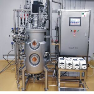 Stainless steel fermenter(mammlian cell) 100 liter BLBIO-100SCUC