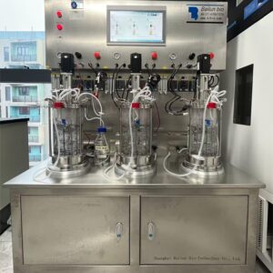 5L 3Union mechanical agitation glass bioreactor (off-site)