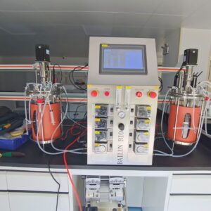 10L Double Single-wall Glass Bioreactor BLBIO-5GJG-2