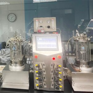 10L Magnetic Driving Glass Bioreactor BLBIO-10GC