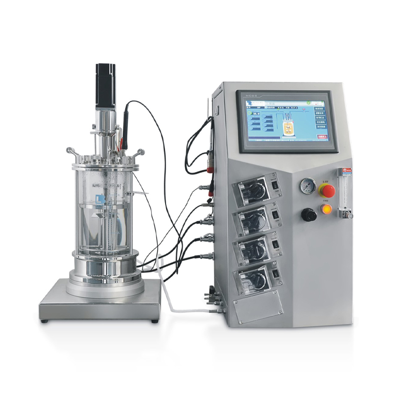 mechanical stirring glass bioreactor