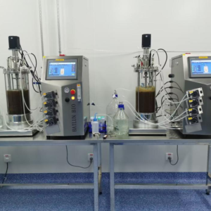 10L Mechanical Mixing Glass Bioreactor BLBIO-10GJ