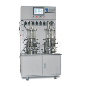 10L Double Magnetic Mixing Glass Fermentor(Cabinet Type) BLBIO-10GCA-2-H