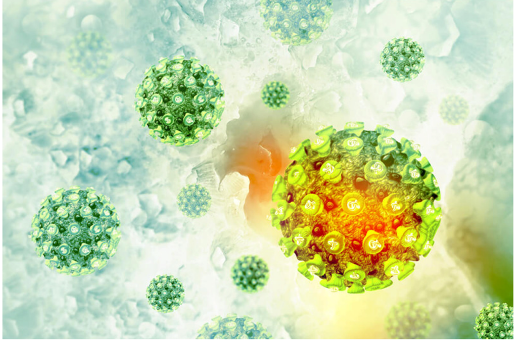 virus